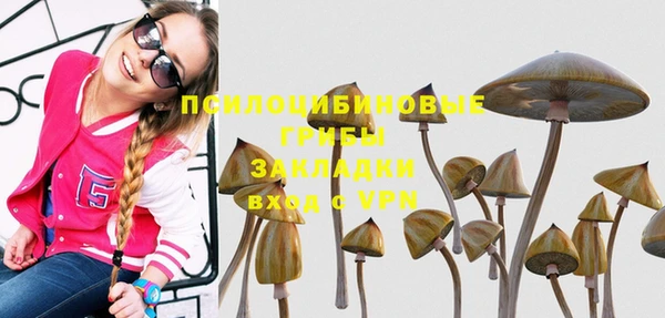 прущая мука Балахна