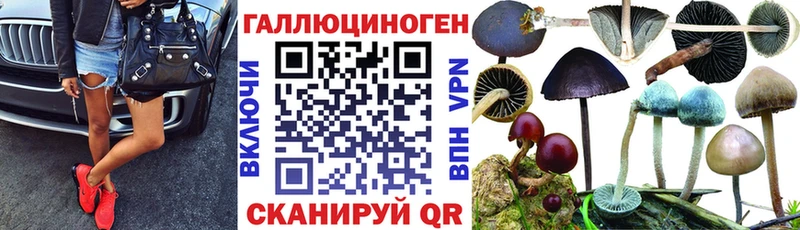 Галлюциногенные грибы мухоморы  наркошоп  Унеча 